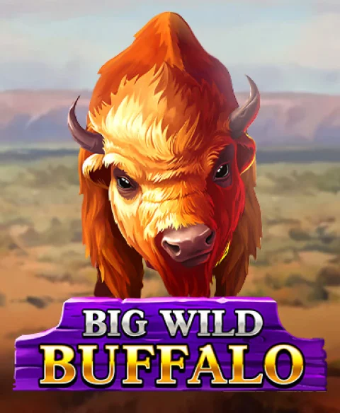 Play Big Wild Buffalo at Dream Jackpot Casino